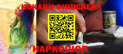 крисы Моздок