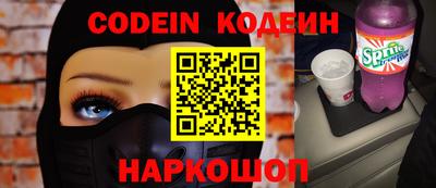 крисы Моздок