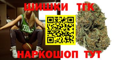 крисы Моздок