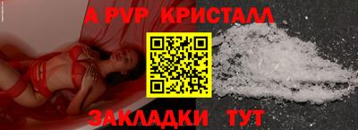 крисы Моздок