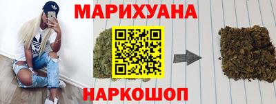 крисы Моздок