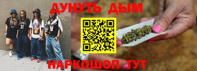 крисы Моздок