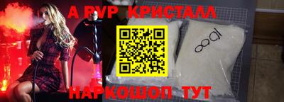 крисы Моздок