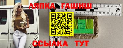крисы Моздок