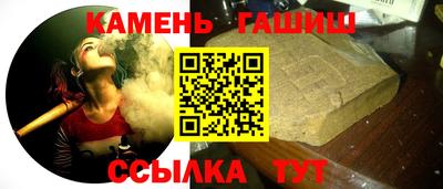 крисы Моздок