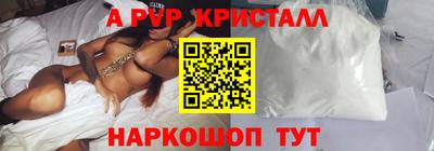 крисы Моздок