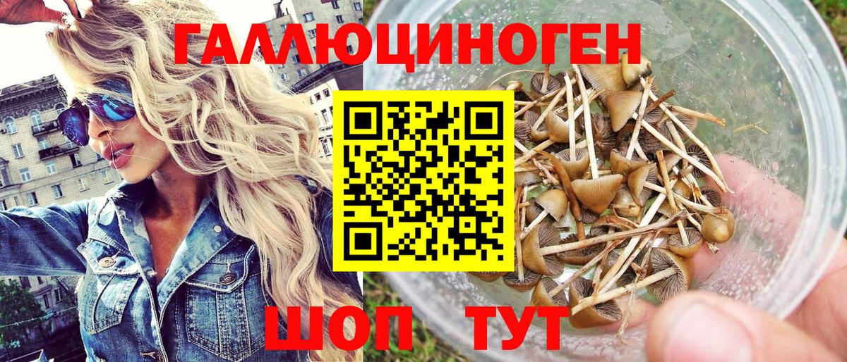 Галлюциногенные грибы мицелий Тосно
