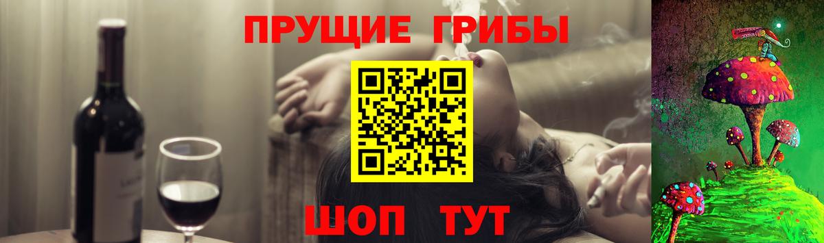 Тосно  Галлюциногенные грибы MAGIC MUSHROOMS  Вход с VPN 